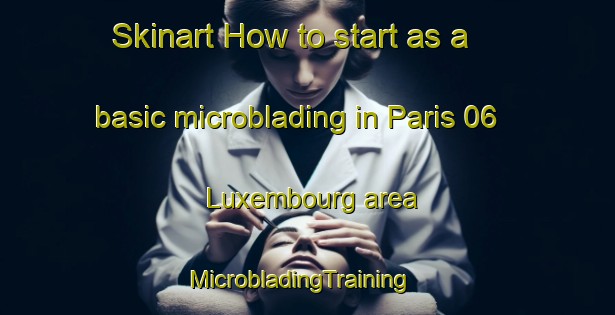 Skinart How to start as a basic microblading in Paris 06 Luxembourg area | MicrobladingTraining | MicrobladingClasses | SkinartTraining-France