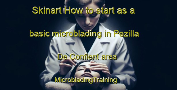 Skinart How to start as a basic microblading in Pezilla De Conflent area | MicrobladingTraining | MicrobladingClasses | SkinartTraining-France