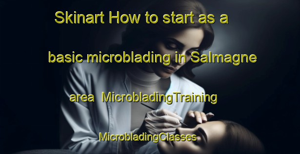 Skinart How to start as a basic microblading in Salmagne area | MicrobladingTraining | MicrobladingClasses | SkinartTraining-France