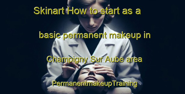 Skinart How to start as a basic permanent makeup in Champigny Sur Aube area | PermanentmakeupTraining | PermanentmakeupClasses | SkinartTraining-France