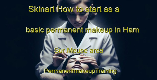 Skinart How to start as a basic permanent makeup in Ham Sur Meuse area | PermanentmakeupTraining | PermanentmakeupClasses | SkinartTraining-France
