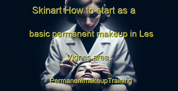 Skinart How to start as a basic permanent makeup in Les Vignes area | PermanentmakeupTraining | PermanentmakeupClasses | SkinartTraining-France