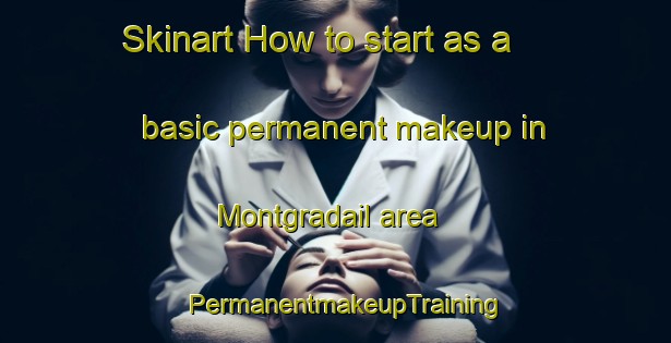 Skinart How to start as a basic permanent makeup in Montgradail area | PermanentmakeupTraining | PermanentmakeupClasses | SkinartTraining-France