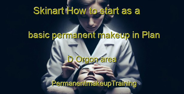 Skinart How to start as a basic permanent makeup in Plan D Orgon area | PermanentmakeupTraining | PermanentmakeupClasses | SkinartTraining-France