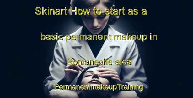 Skinart How to start as a basic permanent makeup in Romaneche area | PermanentmakeupTraining | PermanentmakeupClasses | SkinartTraining-France