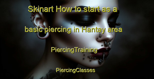 Skinart How to start as a basic piercing in Hantay area | PiercingTraining | PiercingClasses | SkinartTraining-France