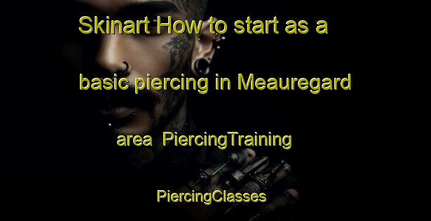 Skinart How to start as a basic piercing in Meauregard area | PiercingTraining | PiercingClasses | SkinartTraining-France