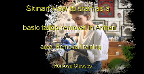 Skinart How to start as a basic tattoo removal in Antran area | RemovalTraining | RemovalClasses | SkinartTraining-France