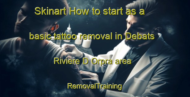 Skinart How to start as a basic tattoo removal in Debats Riviere D Orpra area | RemovalTraining | RemovalClasses | SkinartTraining-France