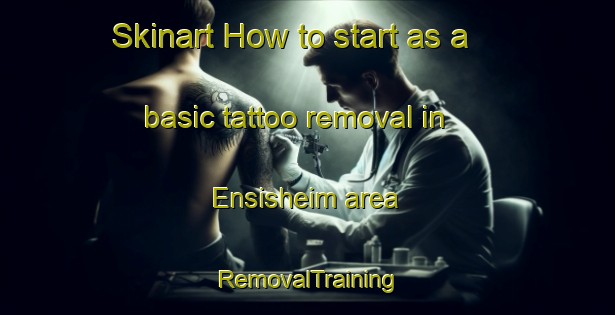 Skinart How to start as a basic tattoo removal in Ensisheim area | RemovalTraining | RemovalClasses | SkinartTraining-France
