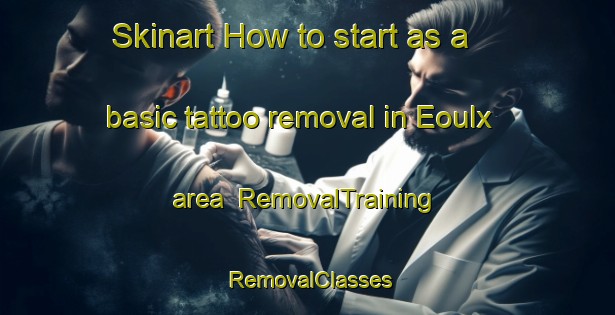 Skinart How to start as a basic tattoo removal in Eoulx area | RemovalTraining | RemovalClasses | SkinartTraining-France