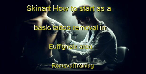 Skinart How to start as a basic tattoo removal in Euffigneix area | RemovalTraining | RemovalClasses | SkinartTraining-France