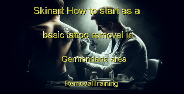 Skinart How to start as a basic tattoo removal in Germondans area | RemovalTraining | RemovalClasses | SkinartTraining-France