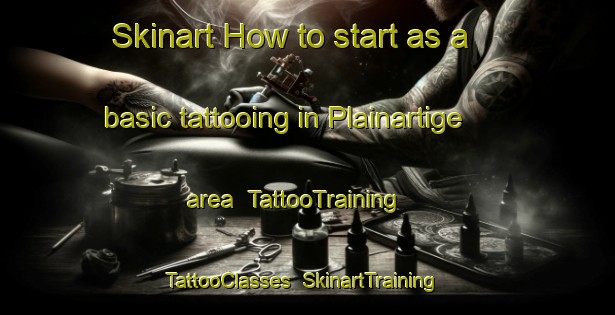 Skinart How to start as a basic tattooing in Plainartige area | TattooTraining | TattooClasses | SkinartTraining-France