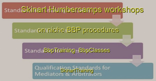 Skinart Humbercamps workshops on niche BBP procedures | BbpTraining | BbpClasses | SkinartTraining-France
