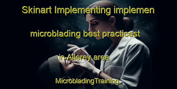 Skinart Implementing implemen microblading best practicest in Allerey area | #MicrobladingTraining #MicrobladingClasses #SkinartTraining-France