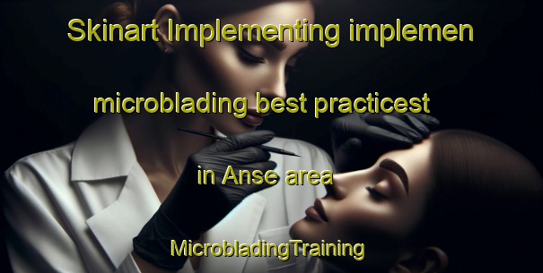 Skinart Implementing implemen microblading best practicest in Anse area | #MicrobladingTraining #MicrobladingClasses #SkinartTraining-France