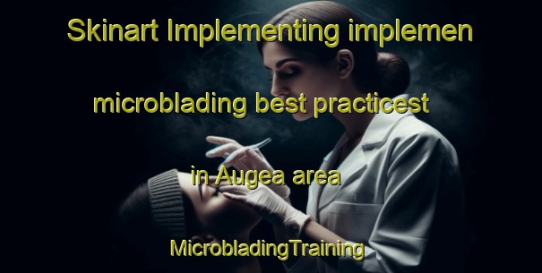 Skinart Implementing implemen microblading best practicest in Augea area | #MicrobladingTraining #MicrobladingClasses #SkinartTraining-France