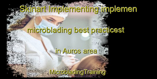 Skinart Implementing implemen microblading best practicest in Auros area | #MicrobladingTraining #MicrobladingClasses #SkinartTraining-France