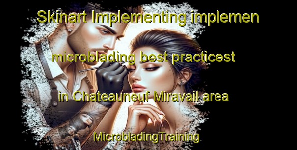 Skinart Implementing implemen microblading best practicest in Chateauneuf Miravail area | #MicrobladingTraining #MicrobladingClasses #SkinartTraining-France