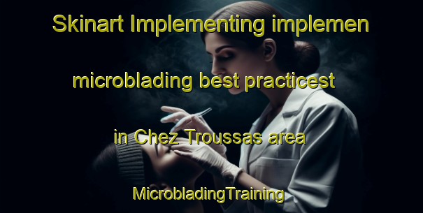 Skinart Implementing implemen microblading best practicest in Chez Troussas area | #MicrobladingTraining #MicrobladingClasses #SkinartTraining-France