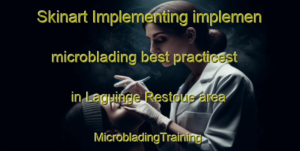 Skinart Implementing implemen microblading best practicest in Laguinge Restoue area | #MicrobladingTraining #MicrobladingClasses #SkinartTraining-France