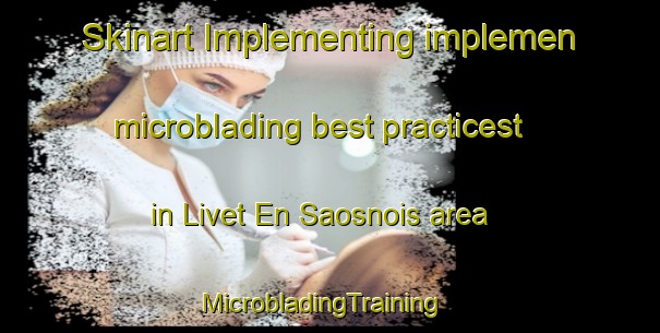 Skinart Implementing implemen microblading best practicest in Livet En Saosnois area | MicrobladingTraining | MicrobladingClasses | SkinartTraining-France