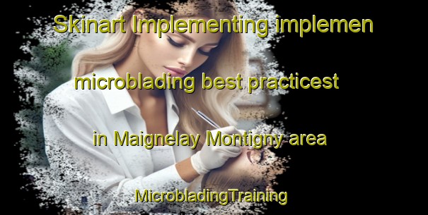 Skinart Implementing implemen microblading best practicest in Maignelay Montigny area | #MicrobladingTraining #MicrobladingClasses #SkinartTraining-France