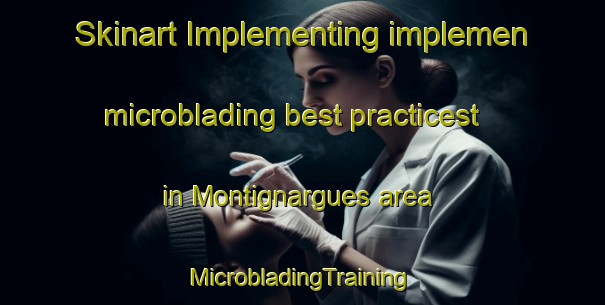 Skinart Implementing implemen microblading best practicest in Montignargues area | #MicrobladingTraining #MicrobladingClasses #SkinartTraining-France