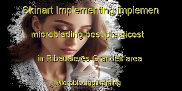 Skinart Implementing implemen microblading best practicest in Ribaudieres Grandes area | MicrobladingTraining | MicrobladingClasses | SkinartTraining-France
