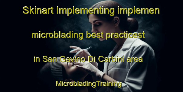 Skinart Implementing implemen microblading best practicest in San Gavino Di Carbini area | MicrobladingTraining | MicrobladingClasses | SkinartTraining-France