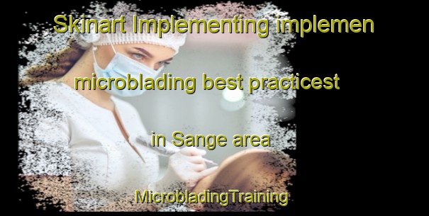 Skinart Implementing implemen microblading best practicest in Sange area | #MicrobladingTraining #MicrobladingClasses #SkinartTraining-France