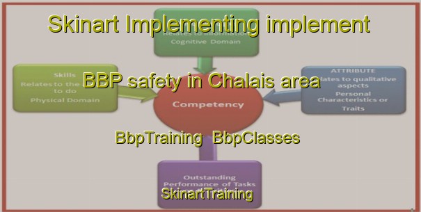 Skinart Implementing implement BBP safety in Chalais area | BbpTraining | BbpClasses | SkinartTraining-France