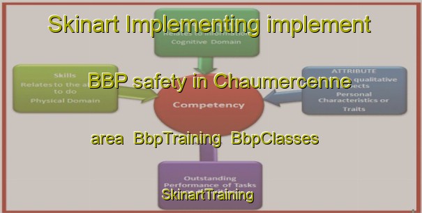 Skinart Implementing implement BBP safety in Chaumercenne area | BbpTraining | BbpClasses | SkinartTraining-France