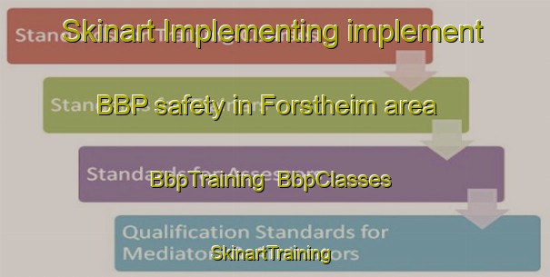Skinart Implementing implement BBP safety in Forstheim area | BbpTraining | BbpClasses | SkinartTraining-France