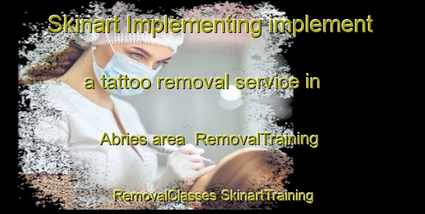 Skinart Implementing implement a tattoo removal service in Abries area | #RemovalTraining #RemovalClasses #SkinartTraining-France