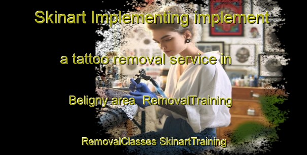 Skinart Implementing implement a tattoo removal service in Beligny area | #RemovalTraining #RemovalClasses #SkinartTraining-France