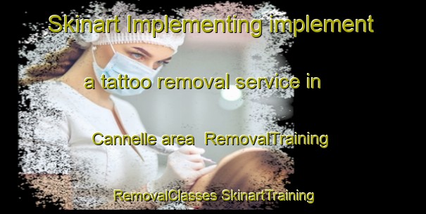 Skinart Implementing implement a tattoo removal service in Cannelle area | #RemovalTraining #RemovalClasses #SkinartTraining-France