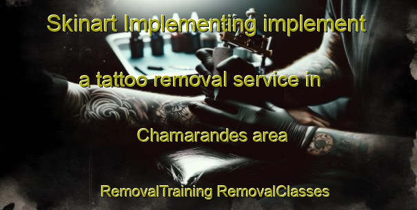 Skinart Implementing implement a tattoo removal service in Chamarandes area | #RemovalTraining #RemovalClasses #SkinartTraining-France