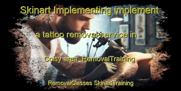 Skinart Implementing implement a tattoo removal service in Coisy area | #RemovalTraining #RemovalClasses #SkinartTraining-France