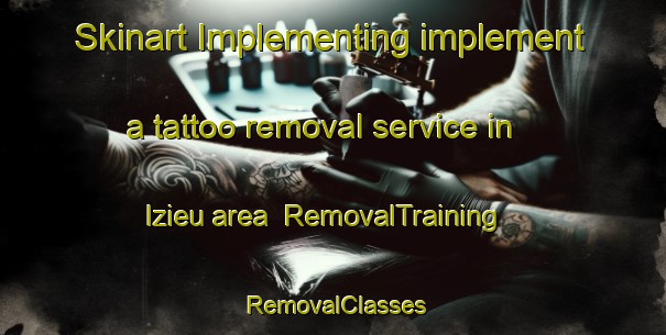 Skinart Implementing implement a tattoo removal service in Izieu area | RemovalTraining | RemovalClasses | SkinartTraining-France