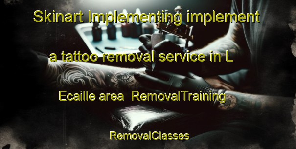 Skinart Implementing implement a tattoo removal service in L Ecaille area | RemovalTraining | RemovalClasses | SkinartTraining-France