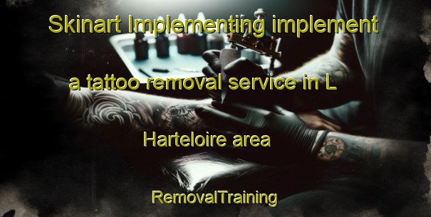 Skinart Implementing implement a tattoo removal service in L Harteloire area | RemovalTraining | RemovalClasses | SkinartTraining-France