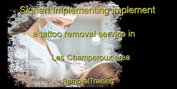 Skinart Implementing implement a tattoo removal service in Les Champeroux area | RemovalTraining | RemovalClasses | SkinartTraining-France