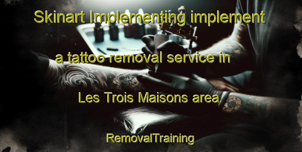 Skinart Implementing implement a tattoo removal service in Les Trois Maisons area | RemovalTraining | RemovalClasses | SkinartTraining-France