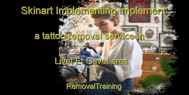Skinart Implementing implement a tattoo removal service in Livet Et Gavet area | RemovalTraining | RemovalClasses | SkinartTraining-France