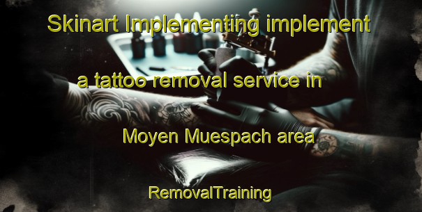 Skinart Implementing implement a tattoo removal service in Moyen Muespach area | RemovalTraining | RemovalClasses | SkinartTraining-France