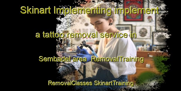 Skinart Implementing implement a tattoo removal service in Sembadel area | #RemovalTraining #RemovalClasses #SkinartTraining-France