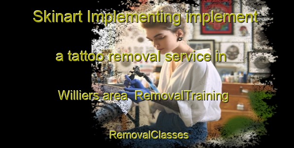 Skinart Implementing implement a tattoo removal service in Williers area | RemovalTraining | RemovalClasses | SkinartTraining-France