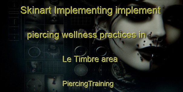 Skinart Implementing implement piercing wellness practices in Le Timbre area | PiercingTraining | PiercingClasses | SkinartTraining-France